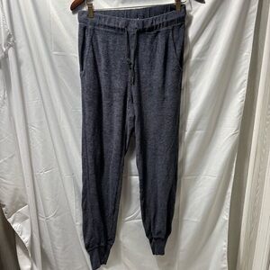 Apiece Apart Women’s Small Blue Terry Cloth Cuffed Ankle Jogger Sweatpants